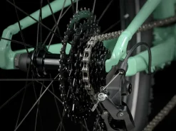 Trek Bikes Wahoo 24 Path Sale
